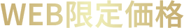 WEB限定価格